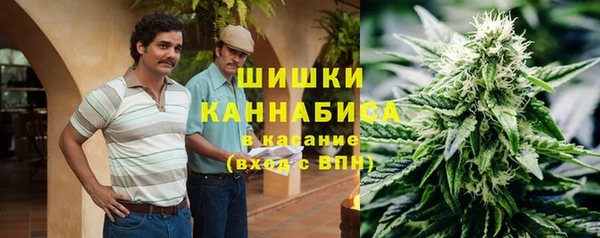 дурь Белокуриха