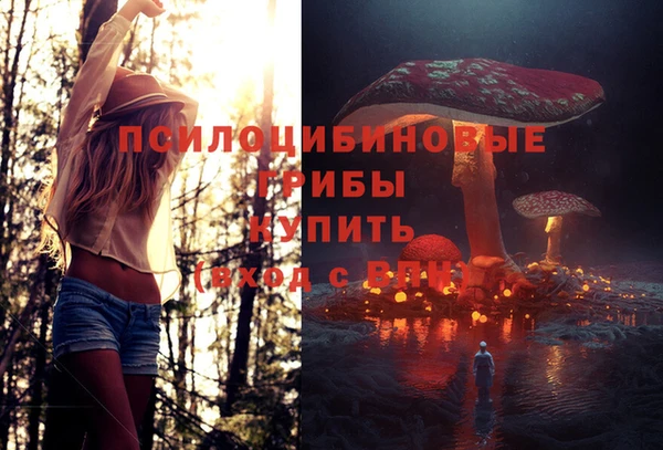 твердый Белоозёрский