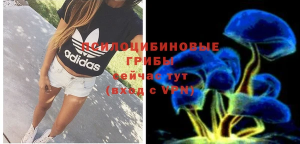 дурь Белокуриха