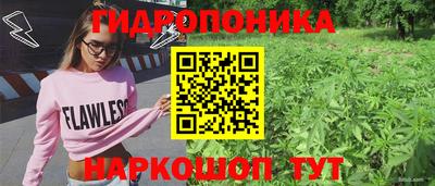 дмт Заволжье