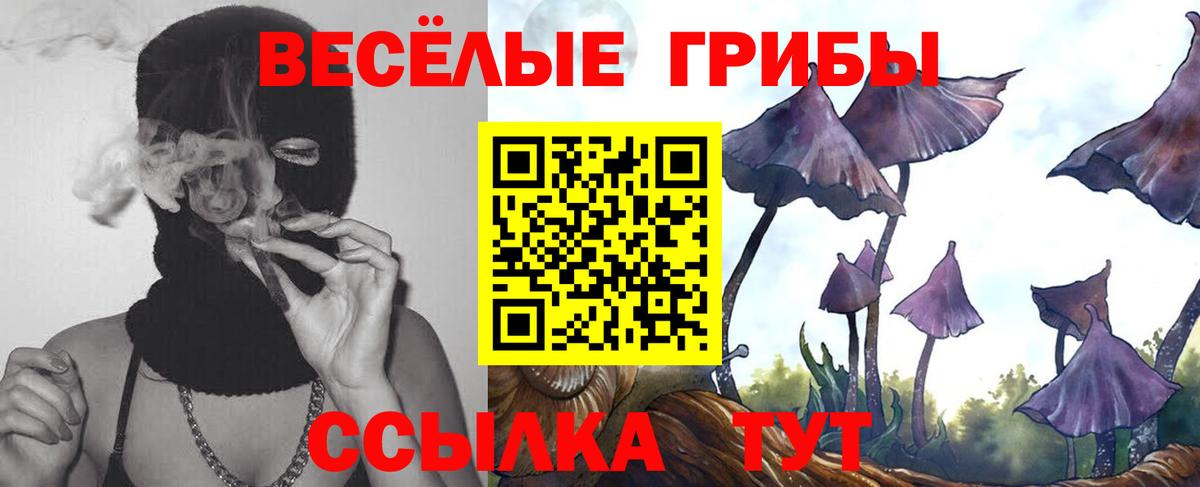 Псилоцибиновые грибы Psilocybe Острогожск